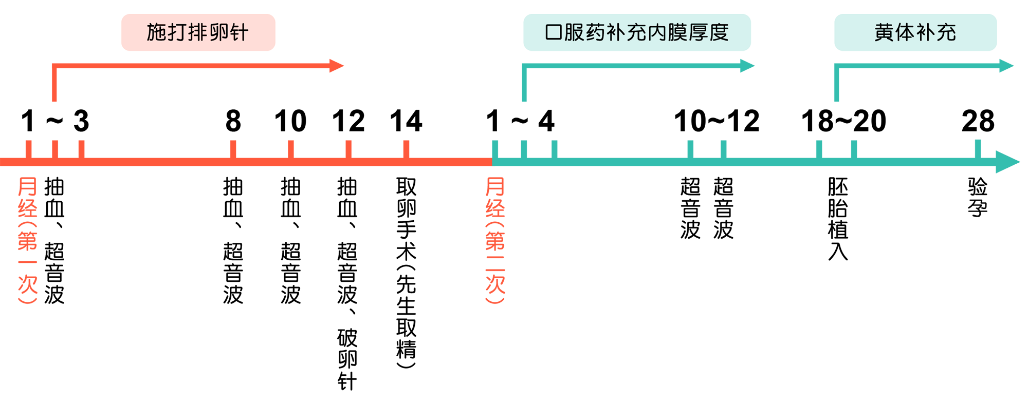 自卵-试管婴儿流程-嘉安试管婴儿中心,不孕症,试管婴儿,人工受孕,冷冻卵子