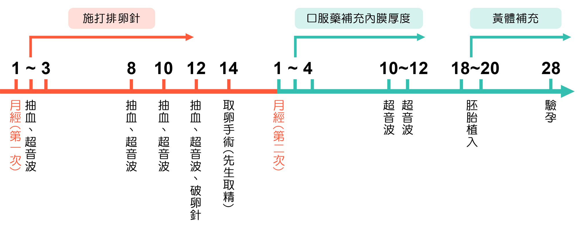 自卵-試管嬰兒流程-嘉安試管嬰兒中心,不孕症,試管嬰兒,人工受孕,冷凍卵子