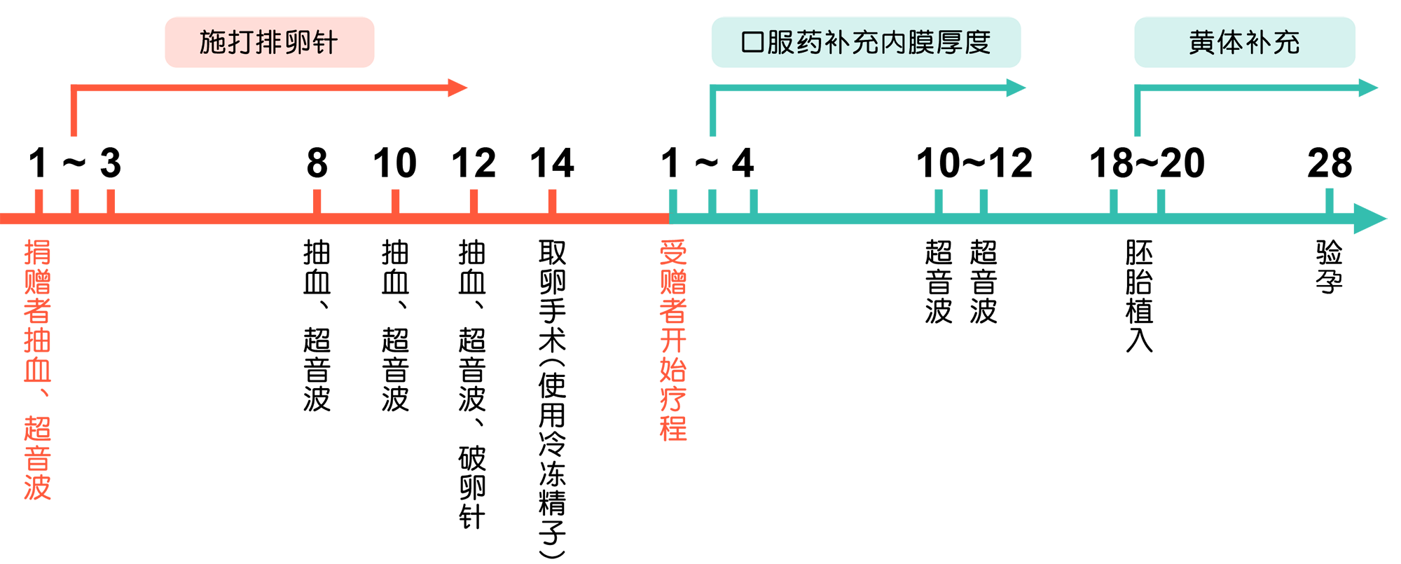 借卵-试管婴儿流程-嘉安试管婴儿中心,不孕症,试管婴儿,人工受孕,冷冻卵子