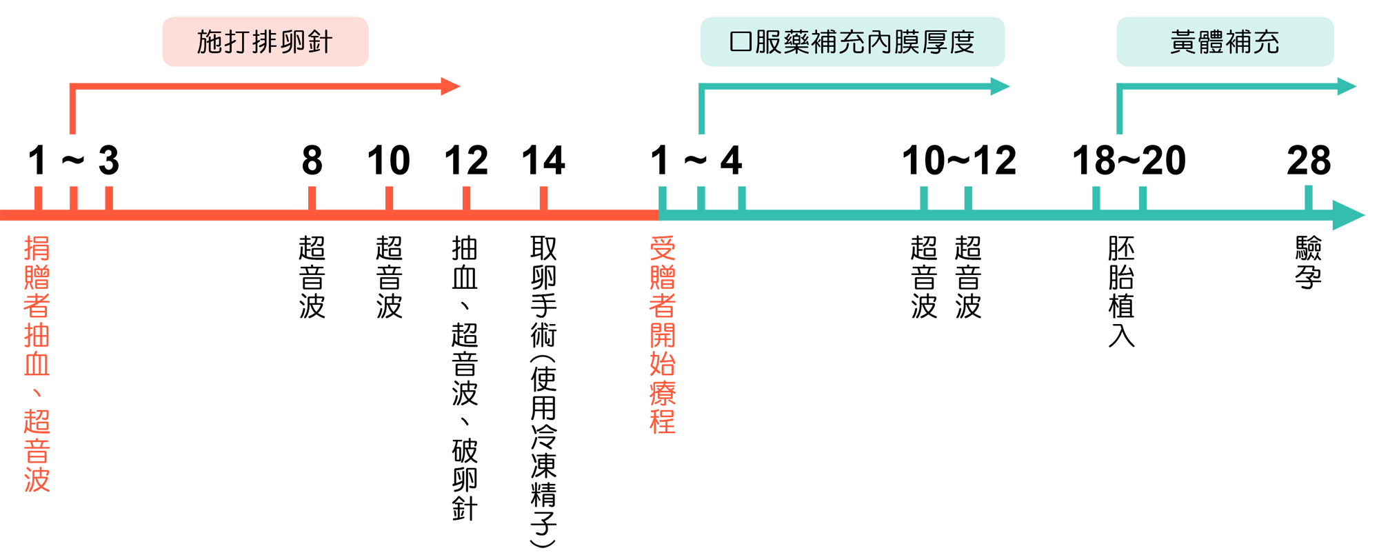 借卵-試管嬰兒流程-嘉安試管嬰兒中心,不孕症,試管嬰兒,人工受孕,冷凍卵子